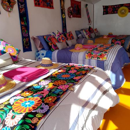 Uros Titikaka The Best Lodge Puno Ngoại thất bức ảnh